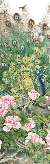 Cover Bird