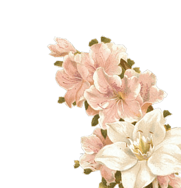 Cover Flower